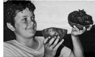 Photo of girl holding large black sapote.