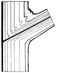 Incorrect diagram of branch growth.