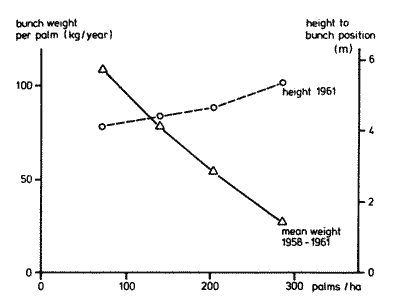 Graph of oil palm heights and yields