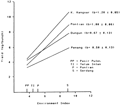 Yield response of 4 Rastali accessions over 4 locations