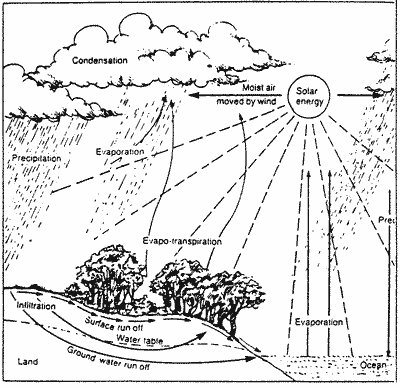 Sketch of Water Cycle.