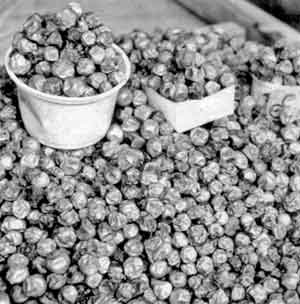 Photo of Masawu