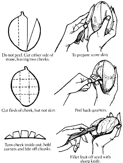 Drawings of cutting a mango.